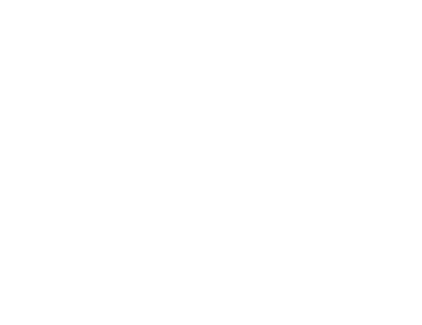 Wir machen schöne Bücher, Netzwerk unabhängiger Verlage